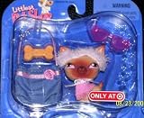 Littlest Pet Shop Exclusive Single Pack Figure Trendy Chihuahua