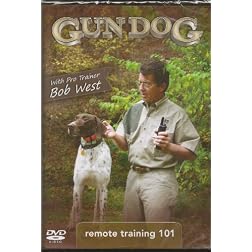 Remote Training 101