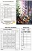 Bridge Tallies - Butterfly Woods - (12 Pack) 2 & 3 Table Progessive