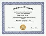 51eJ7N3leyL. SL160  Chef Culinary Arts Degree: Custom Gag Diploma Doctorate Certificate (Funny Customized Joke Gift   Novelty Item)