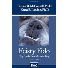 Feisty Fido: Help for the Leash Aggressive Dog