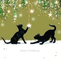 Tomfoolery Black Cats Luxury Christmas Cards Pack