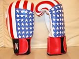 Boxing Gloves Leather / USA Print 10oz