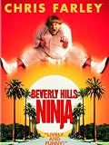 Beverly Hills Ninja