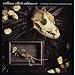 � avoir absolument!!! vol 5