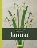 Das Buch vom silbernen Januar