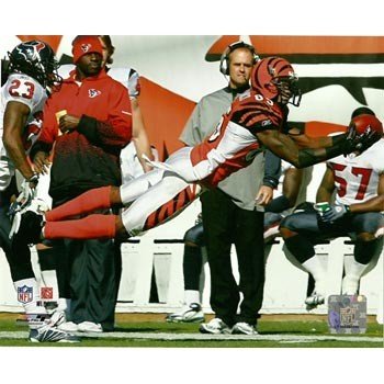 Chad Ochocinco Bengals Diving Catch 8x10 Photo