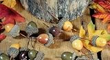 60 Fall Artificial Acorns - Very Realistic Looking Acorns