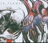 Come Clarity: +DVD