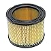 Paper Air Filter for Onan Repl Onan 140-0495
