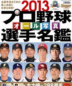 2013プロ野球オール写真選手