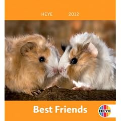 Meerschweinchen Mini Best Friends 2012