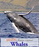 Amazing Facts About Whales! (Kindle Coffee Table Books)