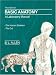 Basic Anatomy: A Laboratory Manual: The Human Skeleton/The Cat