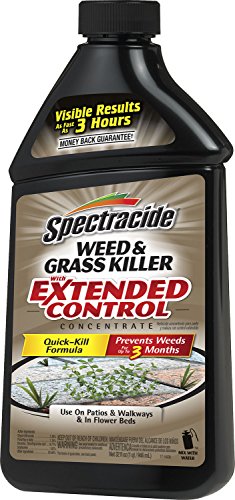 Spectracide 95963 Weed and Grass Killer with Extended Control Concentrate, 32-Ounce, Pack of 1 Spectracide 95963 Weed and Grass Killer with Extended Control Concentrate, 32-Ounce, Pack of 1