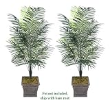 TWO 6' Artificial Dwarf Areca Palm Trees, with No Pot,