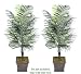 TWO 6' Artificial Dwarf Areca Palm Trees, with No Pot,