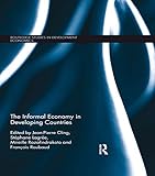 The informal economy in developing countries