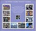 2005 TO FORM A MORE PERFECT UNION #3937 Souvenir of 10 x 37 cents US Postage Stamps