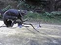 metalgnu