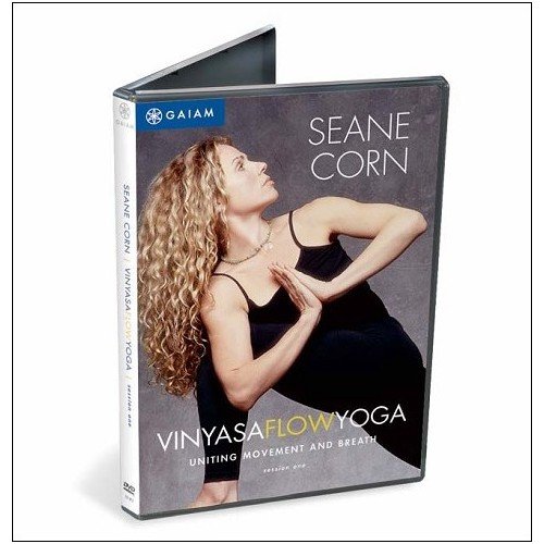 Vinyasa Flow Workout with Seane Corn
