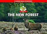 The New Forest