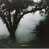 AT HOME WITH OWEN [Vinyl]