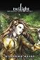 Twilight, Volume 1 (Graphic Novel)