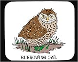 Mouse Pad with burrowing, brown, owl, bird