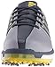 adidas mens Golf Tour360 Boost Spiked Shoe , LIGHT ONIX GREY , 10 M US