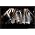 Thumbnail image of Incantation