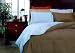 51eLBJcjLuL. SL75  How to Choose bed comforter set