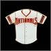 Washington Nationals Hats : Washington Nationals Team Jersey Collectible Pin
