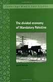 The Divided Economy of Mandatory Palestine (Cambridge Middle East Studies)