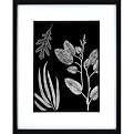 Leaves on Black B Wall Art - 16x20"