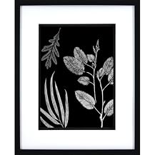 Leaves on Black B Wall Art - 16x20"