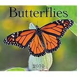 Butterflies 2010 (Calendar)