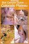 Technical Slot Canyon Guide to the Colorado Plateau