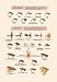 Fly-Fishing Lures: Low Water and Special 20x30 poster - Prints - 02316-3P2030
