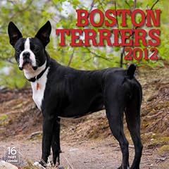 Boston Terriers 2012 Calendar