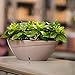 Santino Self Watering Planter CALIPSO Oval Shape L 9.4 Inch x H 5.1 Inch Cream/White Indoor Flower Pot for All House Plants, Flowers, Orchids