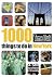 Time Out 1000 Things to Do in New York (Time Out Guides)