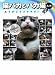 猫バカとバカ猫 R.I.P. ありがとうスケキヨ!でAmazonアフィリエイトツール