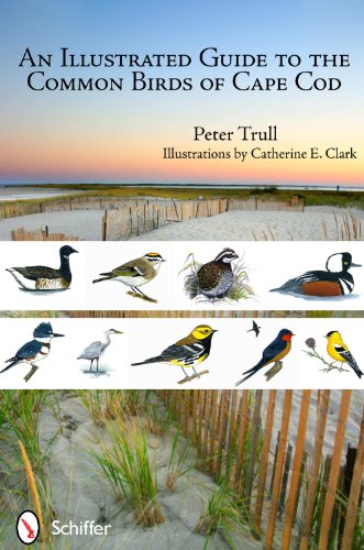 an illustrated guide to the common birds of cape cod
