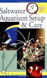 Saltwater Aquarium Setup and Care (Quick & Easy)