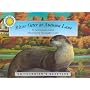 River Otter at Autumn Lane (Smithsonian's Backyard Ser)