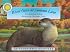 River Otter at Autumn Lane (Smithsonian's Backyard Ser) (Smithsonian's Backyard Ser)
