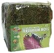 ZOO GREEN MOSS 2LB MINI BALE