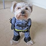 Alfie Pet by Petoga Couture - Superhero Costume Batman - Size: M