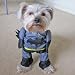 Search : Alfie Couture Pet Apparel - Superhero Costume Batman - Size: L